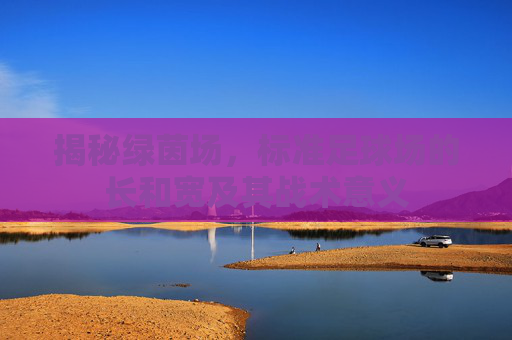 揭秘绿茵场，标准足球场的长和宽及其战术意义
