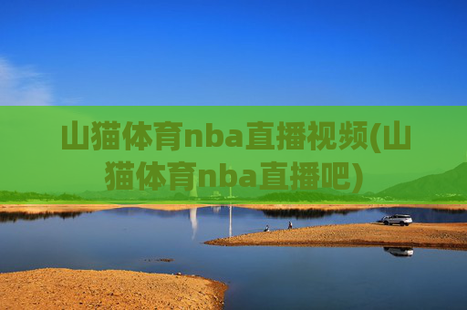 山猫体育nba直播视频(山猫体育nba直播吧)