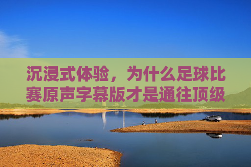 沉浸式体验,为什么足球比赛原声字幕版才是通往顶级赛场最纯粹的通道