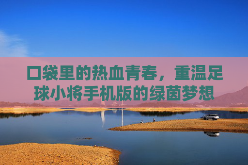 口袋里的热血青春,重温足球小将手机版的绿茵梦想