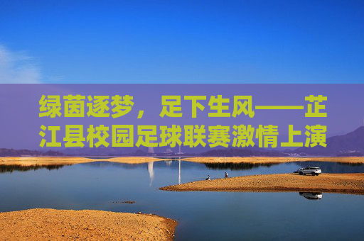 绿茵逐梦，足下生风——芷江县校园足球联赛激情上演