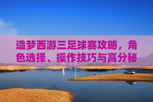 造梦西游三足球赛攻略,角色选择、操作技巧与高分秘籍