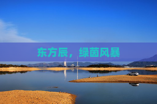 东方辰,绿茵风暴