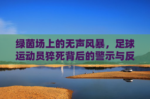 绿茵场上的无声风暴,足球运动员猝死背后的警示与反思