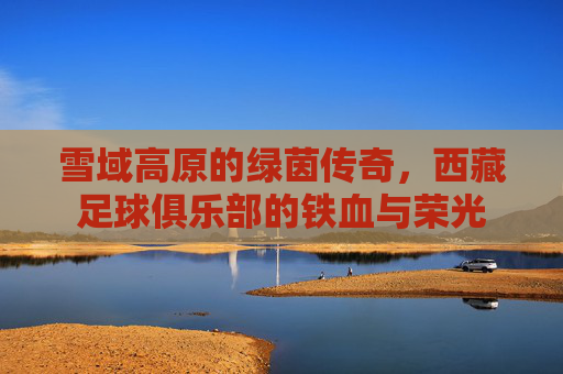 雪域高原的绿茵传奇，西藏足球俱乐部的铁血与荣光