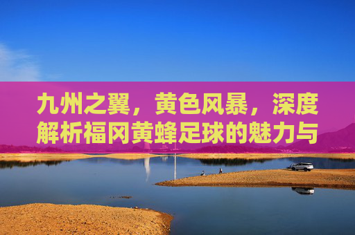 九州之翼，黄色风暴，深度解析福冈黄蜂足球的魅力与精神