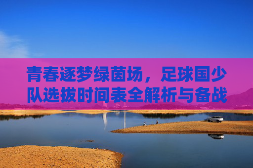 青春逐梦绿茵场,足球国少队选拔时间表全解析与备战指南