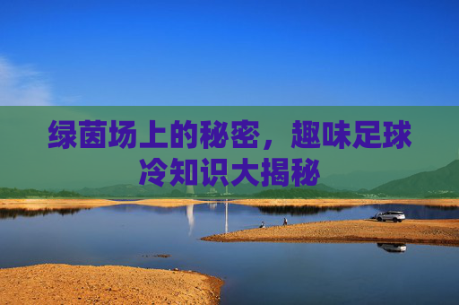 绿茵场上的秘密，趣味足球冷知识大揭秘