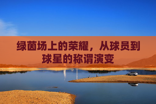 绿茵场上的荣耀，从球员到球星的称谓演变