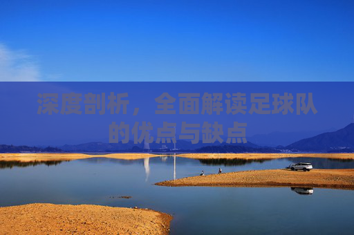 深度剖析,全面解读足球队的优点与缺点