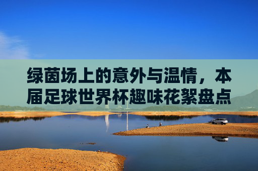 绿茵场上的意外与温情,本届足球世界杯趣味花絮盘点