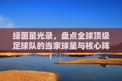 绿茵星光录，盘点全球顶级足球队的当家球星与核心阵容