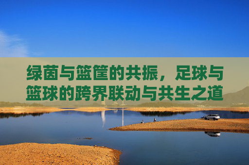 绿茵与篮筐的共振,足球与篮球的跨界联动与共生之道