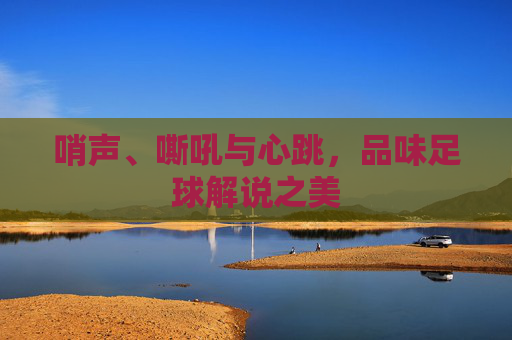 哨声、嘶吼与心跳,品味足球解说之美