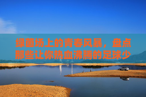 绿茵场上的青春风暴，盘点那些让你热血沸腾的足球少年电影