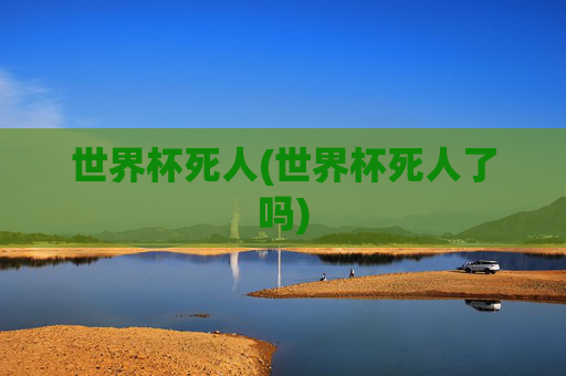 世界杯死人(世界杯死人了吗)