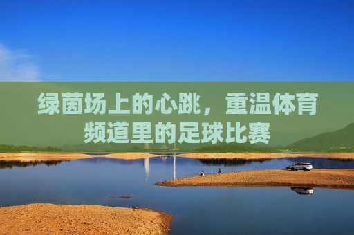 绿茵场上的心跳,重温体育频道里的足球比赛