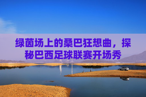 绿茵场上的桑巴狂想曲,探秘巴西足球联赛开场秀