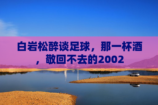 白岩松醉谈足球，那一杯酒，敬回不去的2002