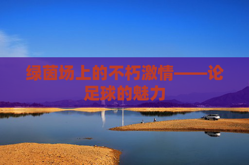 绿茵场上的不朽激情——论足球的魅力