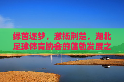 绿茵逐梦,激扬荆楚,湖北足球体育协会的蓬勃发展之路