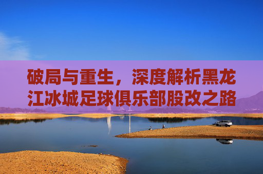 破局与重生,深度解析黑龙江冰城足球俱乐部股改之路