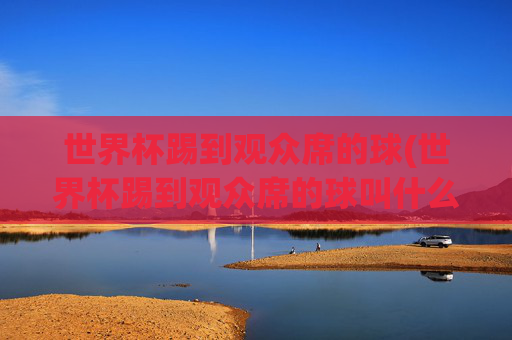世界杯踢到观众席的球(世界杯踢到观众席的球叫什么)