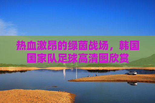 热血激昂的绿茵战场，韩国国家队足球高清图欣赏