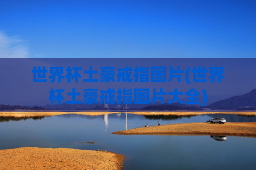 世界杯土豪戒指图片(世界杯土豪戒指图片大全)