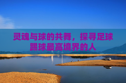 灵魂与球的共舞,探寻足球踢球最高境界的人