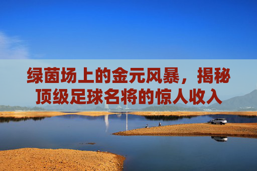 绿茵场上的金元风暴,揭秘顶级足球名将的惊人收入