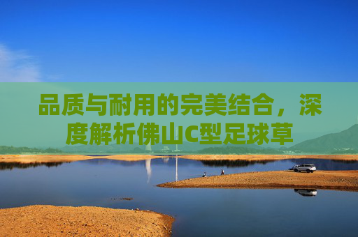 品质与耐用的完美结合,深度解析佛山C型足球草