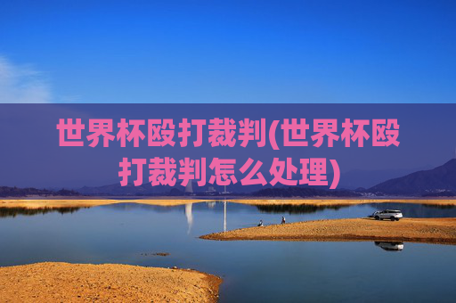 世界杯殴打裁判(世界杯殴打裁判怎么处理)
