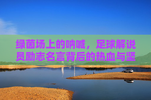 绿茵场上的呐喊,足球解说员励志名言背后的热血与坚持