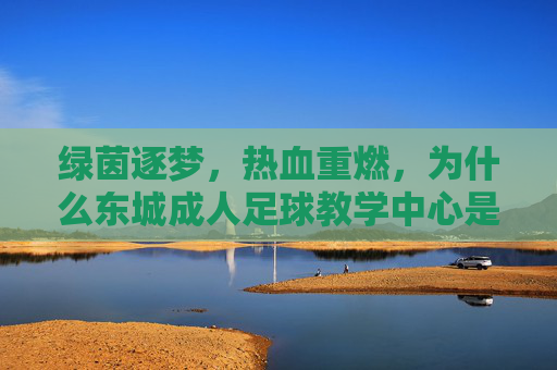 绿茵逐梦,热血重燃,为什么东城成人足球教学中心是你的最佳选择?