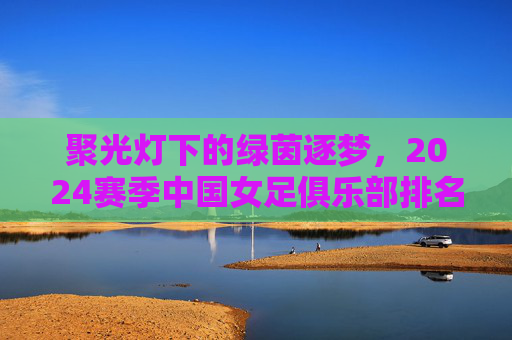 聚光灯下的绿茵逐梦,2024赛季中国女足俱乐部排名深度解析