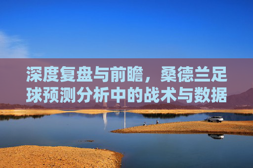 深度复盘与前瞻,桑德兰足球预测分析中的战术与数据