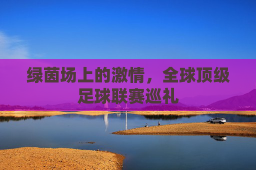 绿茵场上的激情，全球顶级足球联赛巡礼