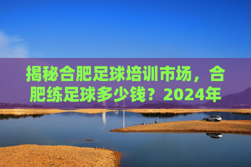 揭秘合肥足球培训市场，合肥练足球多少钱？2024年最新行情全解析
