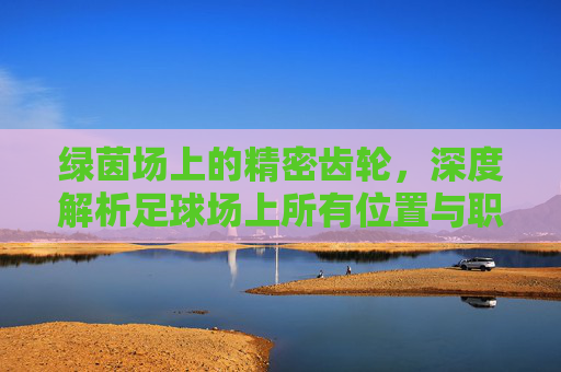 绿茵场上的精密齿轮,深度解析足球场上所有位置与职责