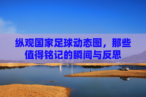 纵观国家足球动态图,那些值得铭记的瞬间与反思
