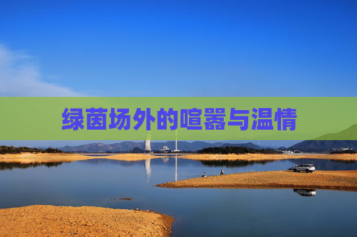 绿茵场外的喧嚣与温情