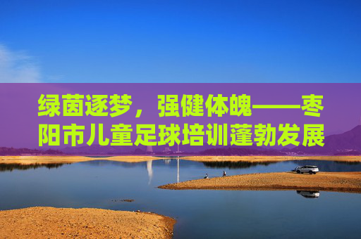 绿茵逐梦,强健体魄——枣阳市儿童足球培训蓬勃发展
