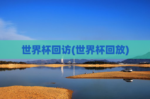 世界杯回访(世界杯回放)