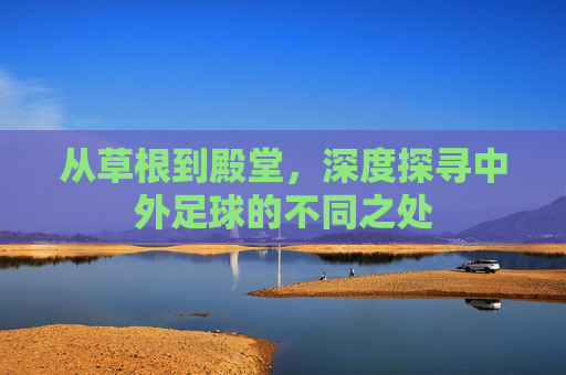 从草根到殿堂,深度探寻中外足球的不同之处