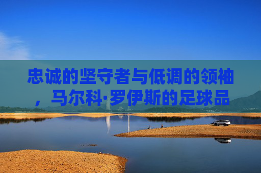 忠诚的坚守者与低调的领袖,马尔科·罗伊斯的足球品质