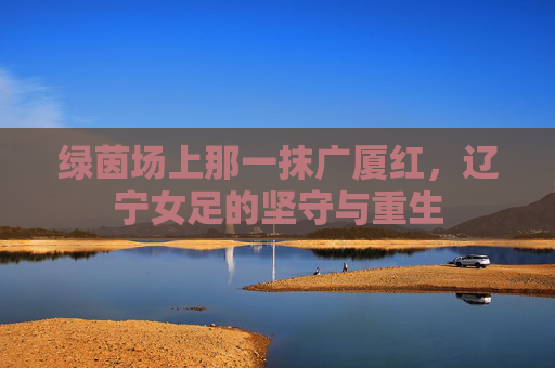 绿茵场上那一抹广厦红,辽宁女足的坚守与重生