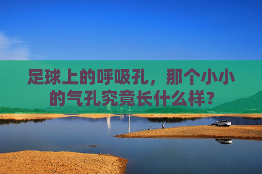 足球上的呼吸孔,那个小小的气孔究竟长什么样?