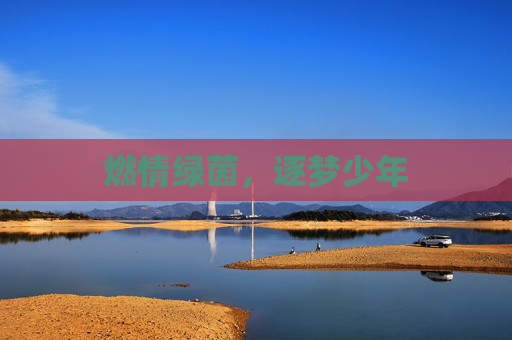 燃情绿茵，逐梦少年