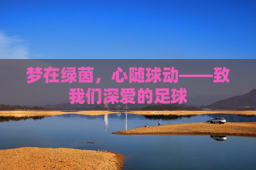 梦在绿茵，心随球动——致我们深爱的足球